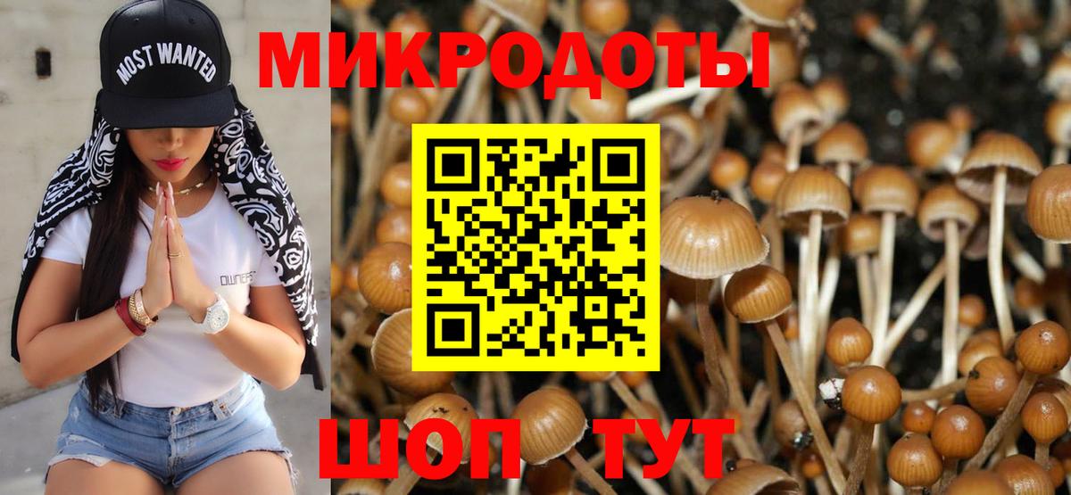 Галлюциногенные грибы GOLDEN TEACHER  Галлюциногенные грибы ЛСД  Архангельск  Вход с VPN 